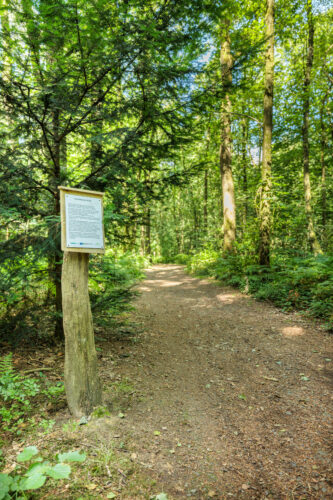 Wildparkführung